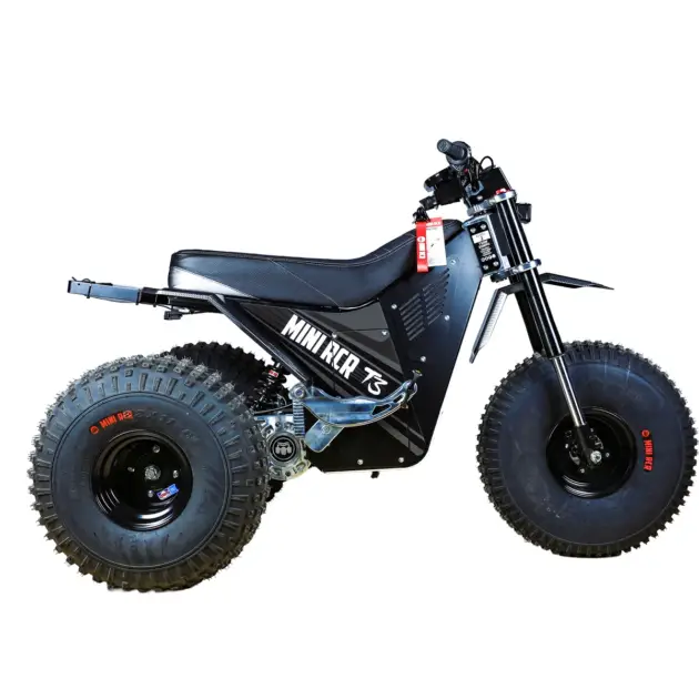 Mini RCR T3